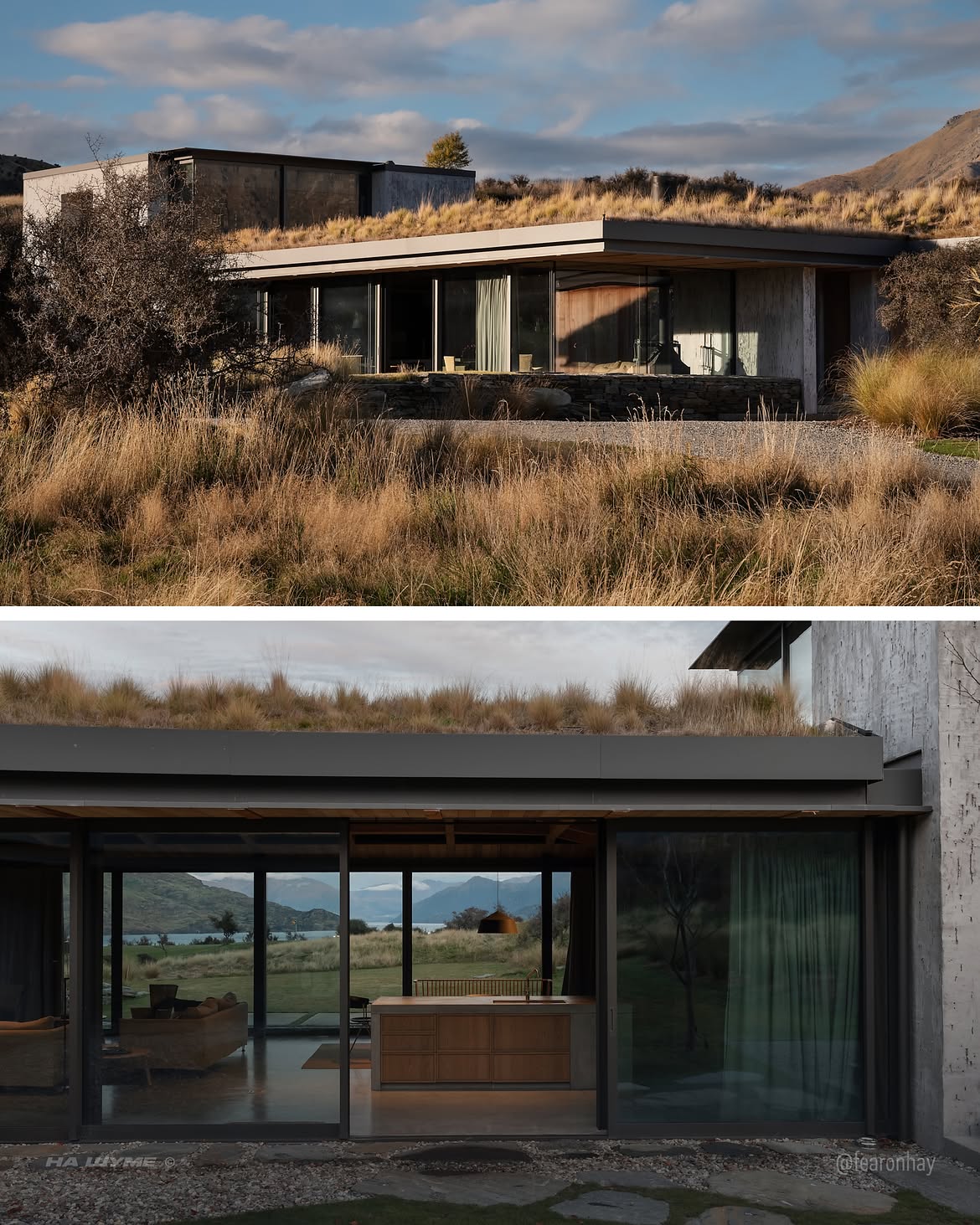 Living in the Landscape – Matagouri