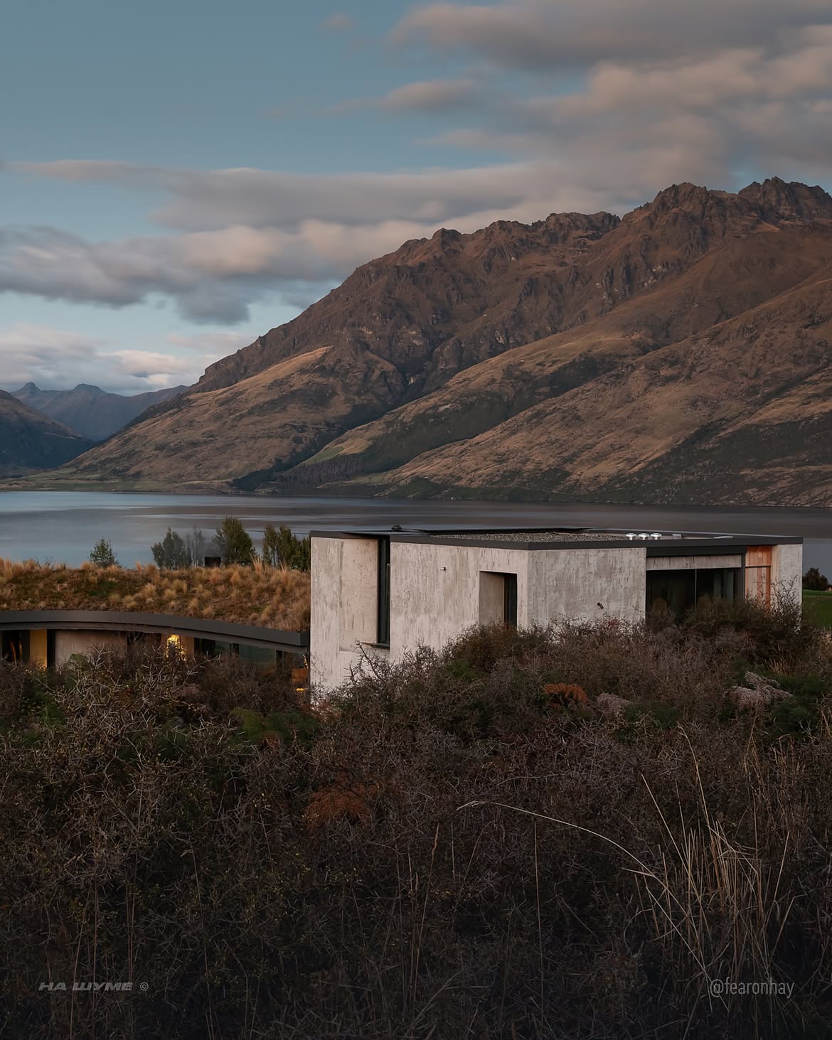 Living in the Landscape – Matagouri