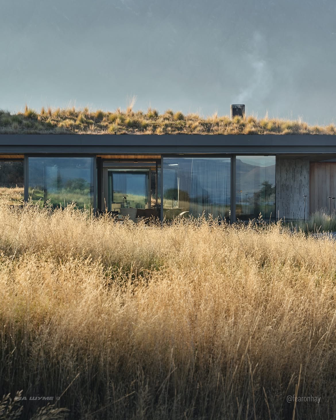 Living in the Landscape – Matagouri