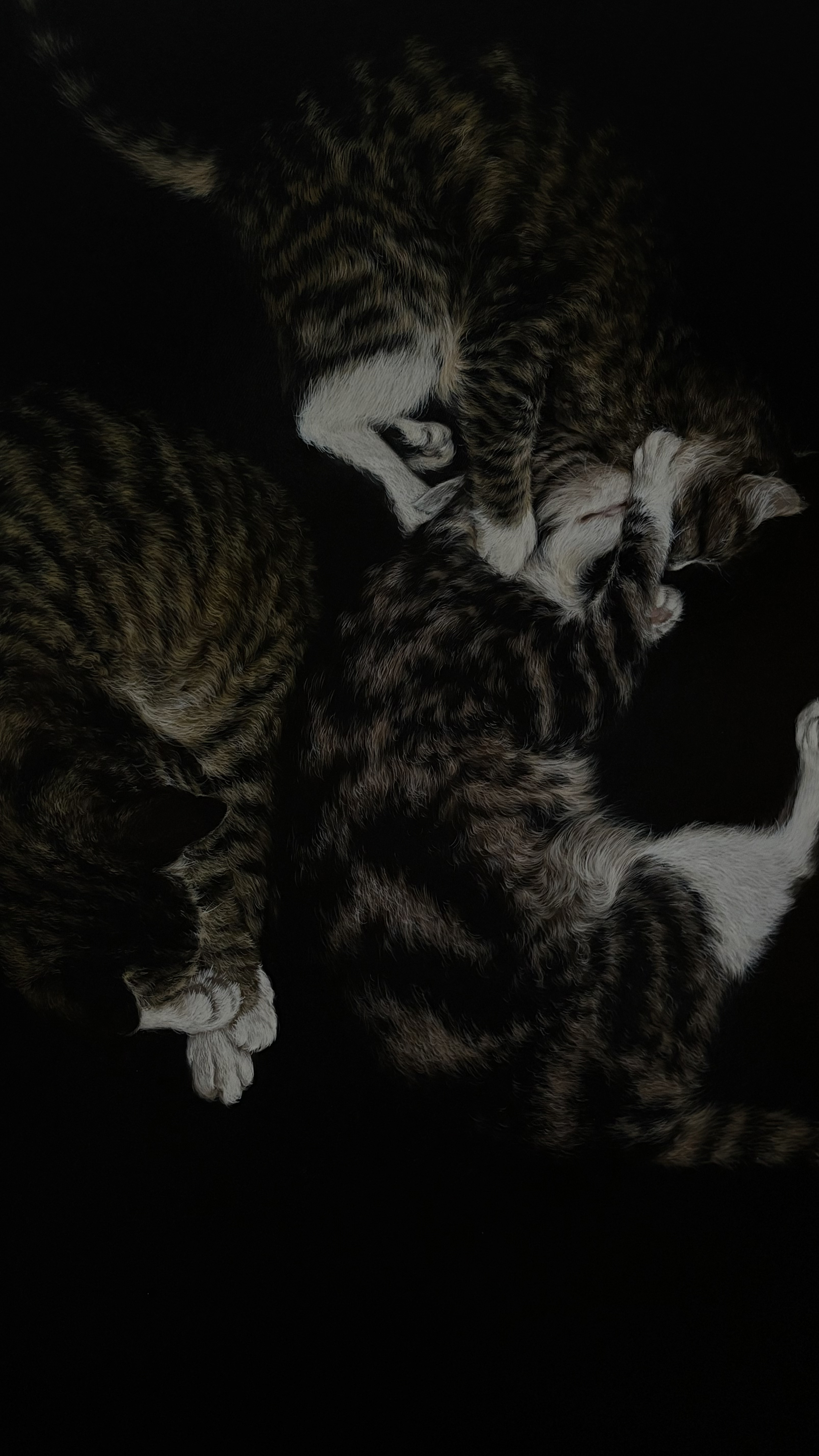 Softness in the Dark