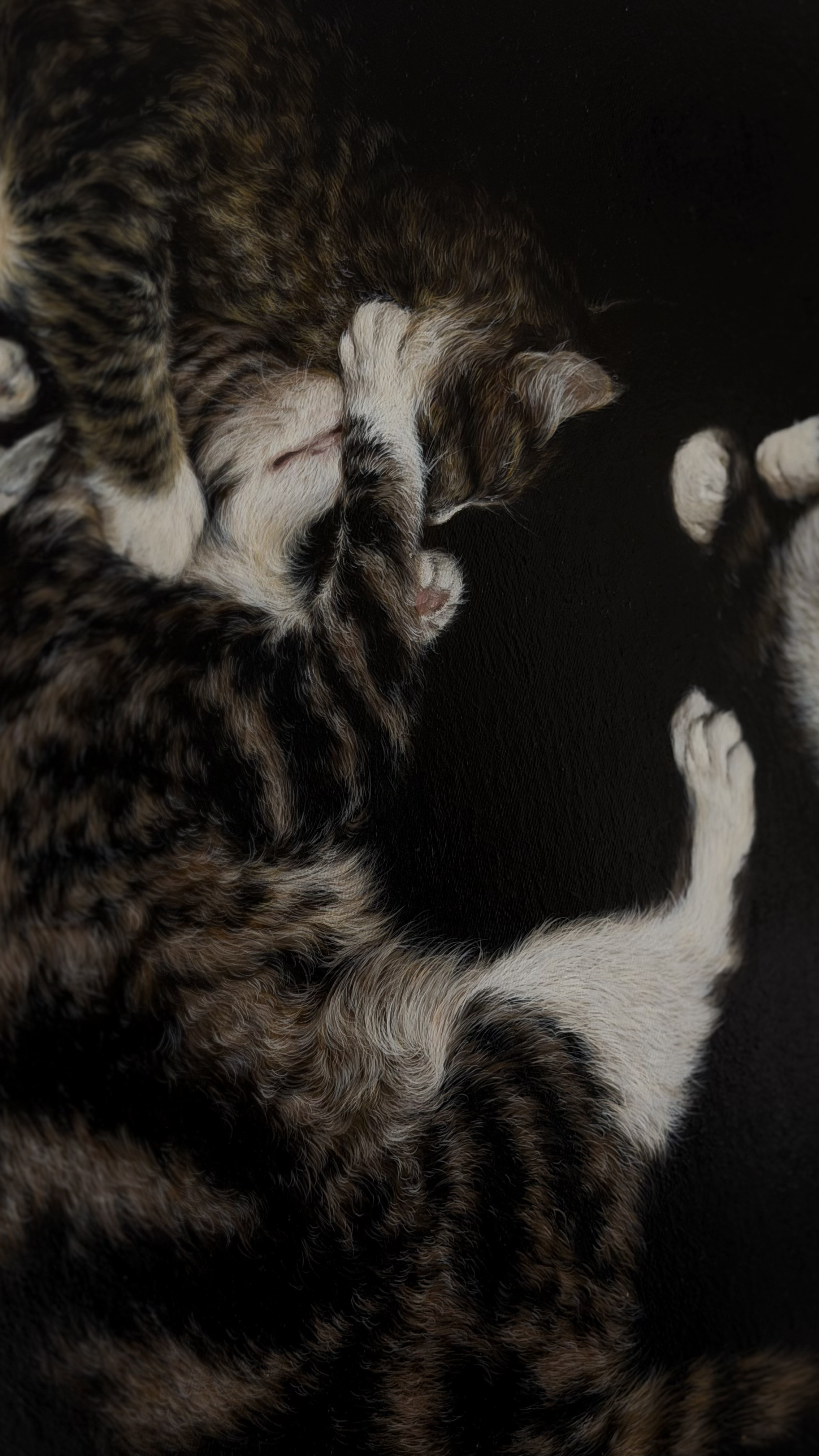 Softness in the Dark