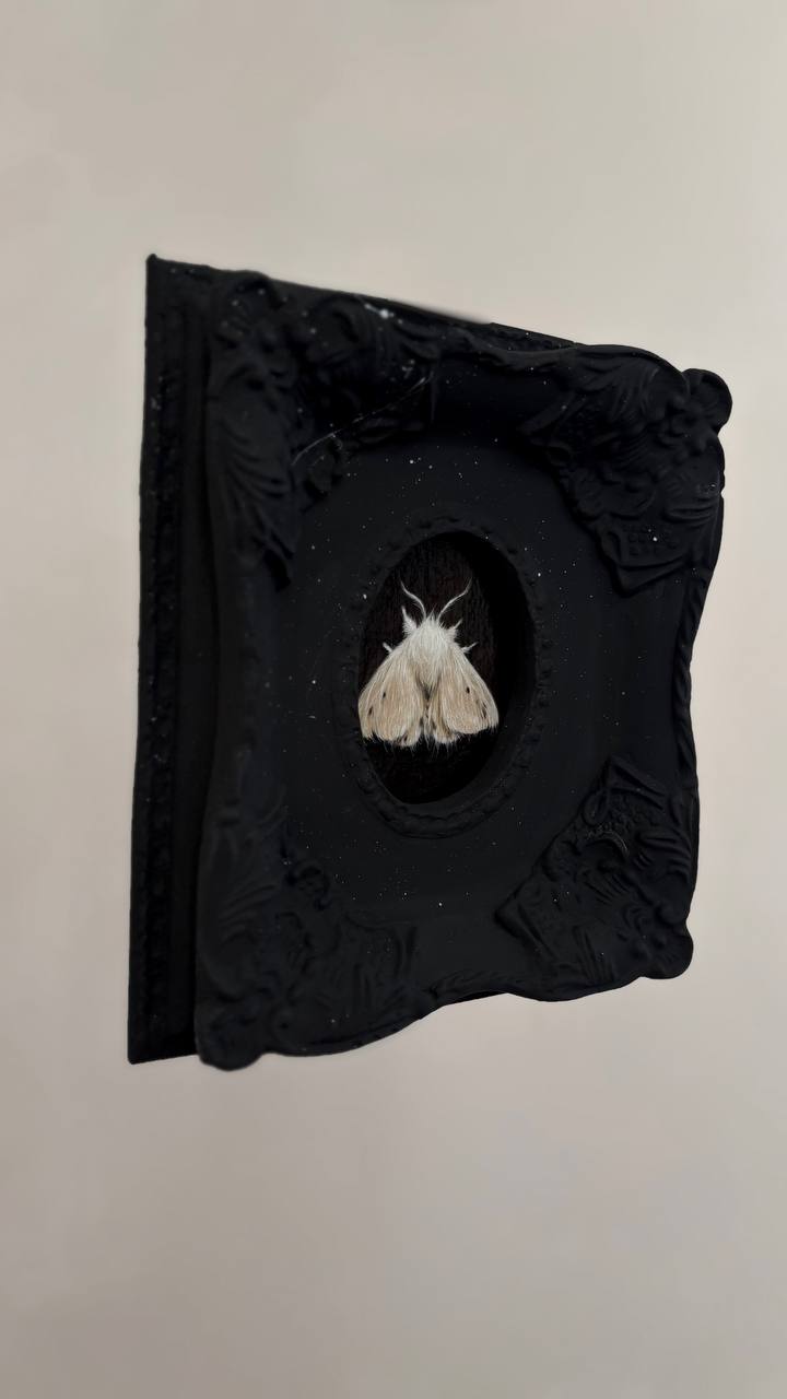 White Moth