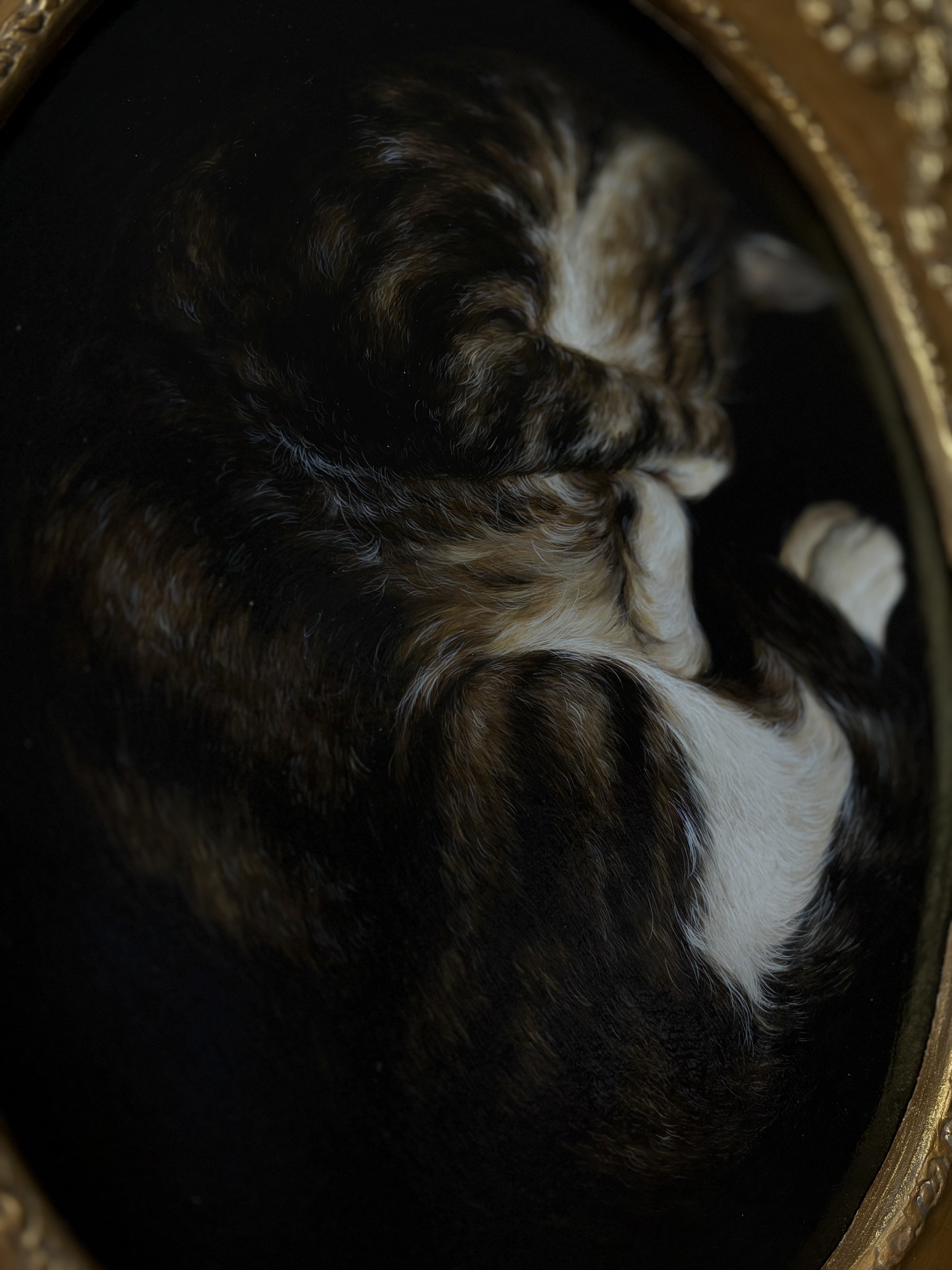 Dozing