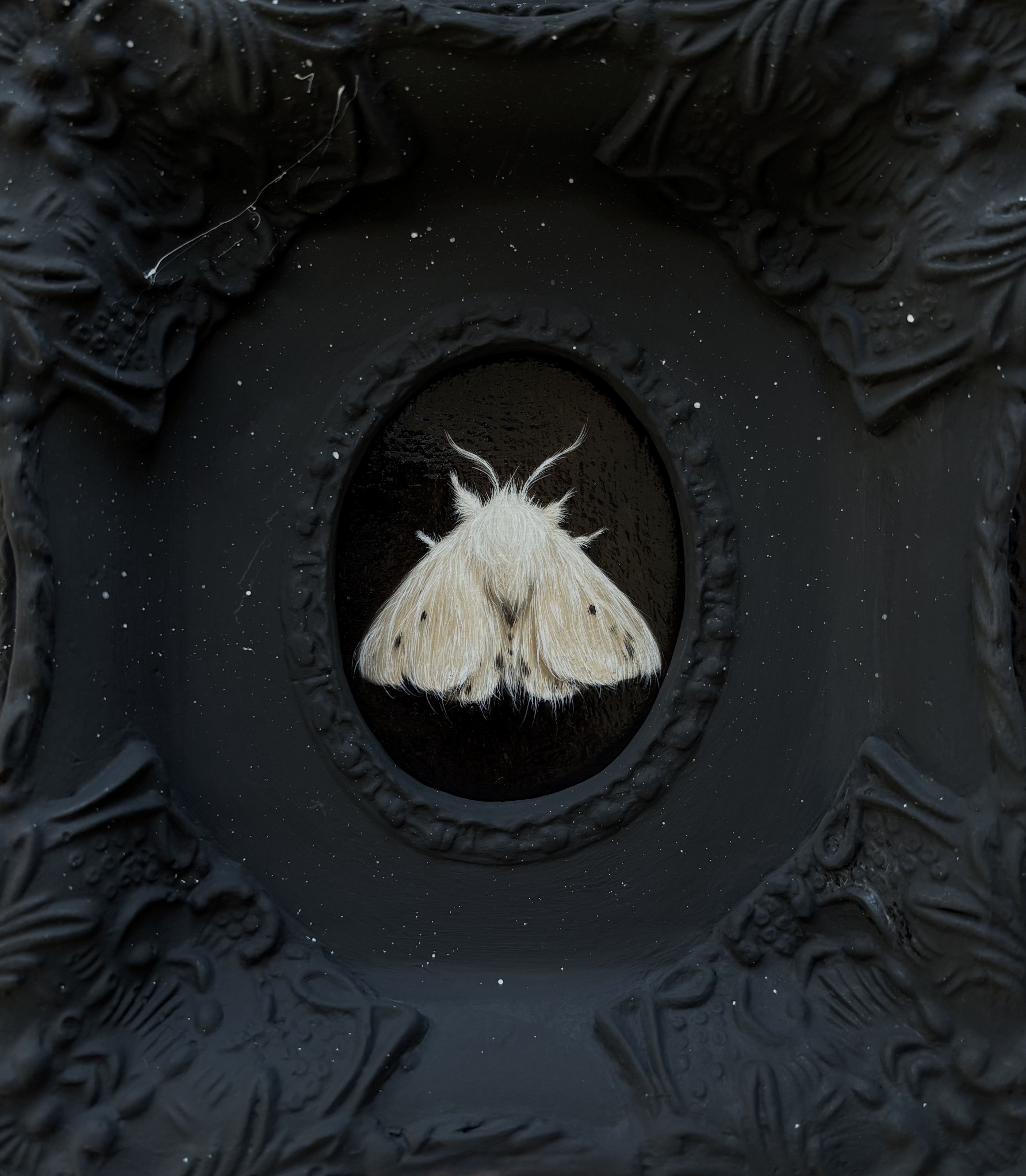 White Moth