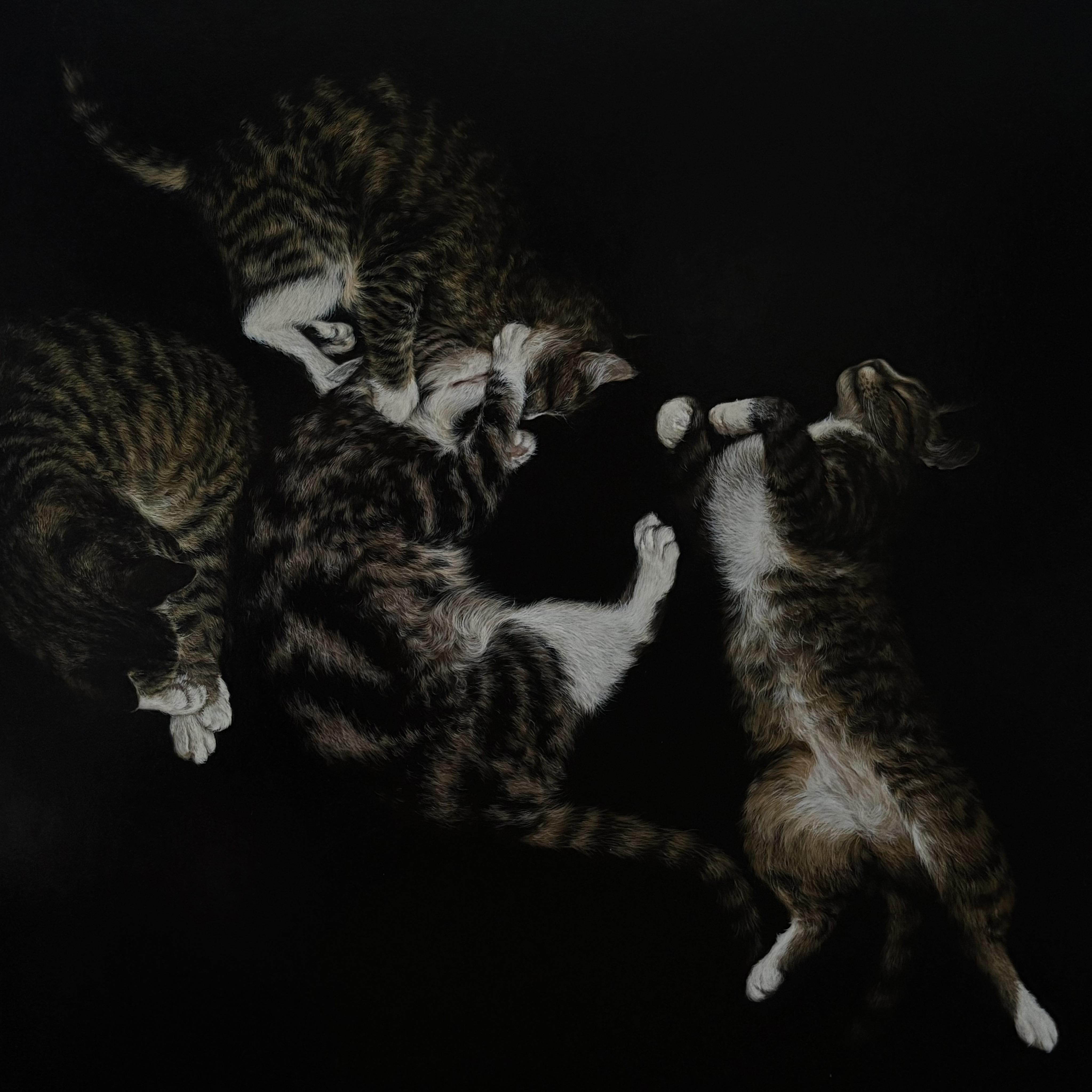 Softness in the Dark
