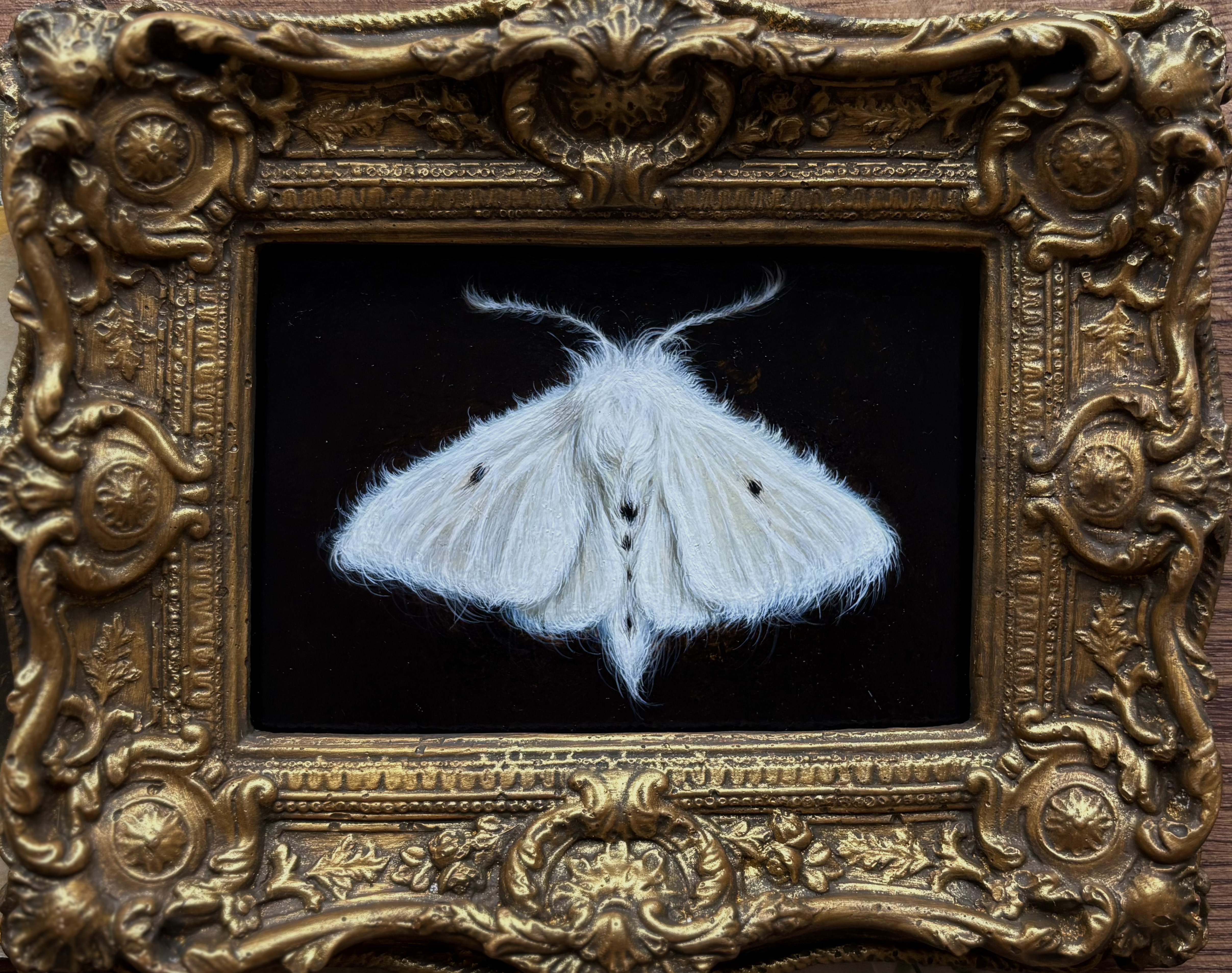 Moth